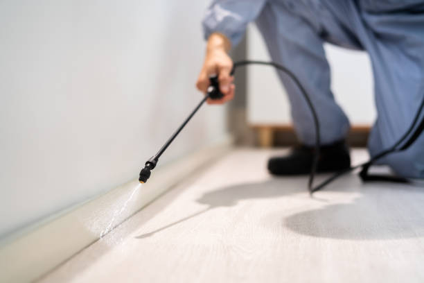 Licensed Termite Control service in Jamestown, NY - Nex Pest Control