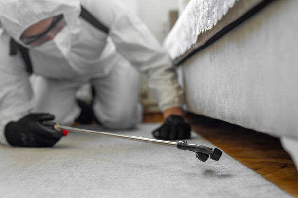 Professional Termite Control technician working in Jamestown, NY