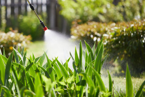 24/7 Emergency Termite Control experts in Jamestown, NY