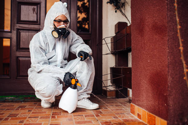 Reliable Termite Control contractor in Jamestown, NY by Nex Pest Control