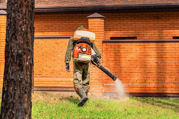 Top rated local Termite Control specialists in Jamestown, NY